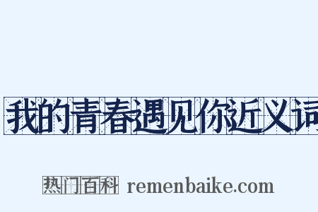 我的青春遇见你近义词是什么意思的图片